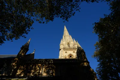 DSC_0451 (Large).JPG